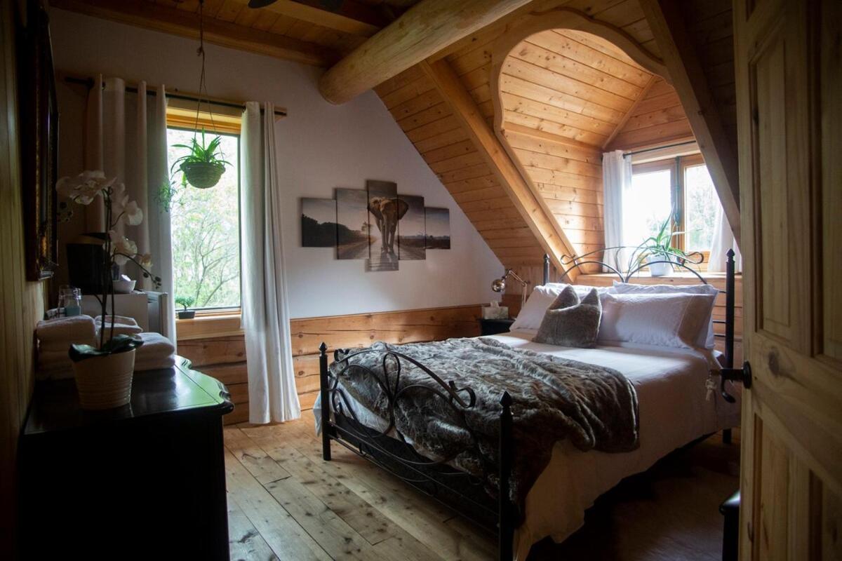 Hebergement "La Maison En Bois Rond" Sainte-Marie Bilik gambar